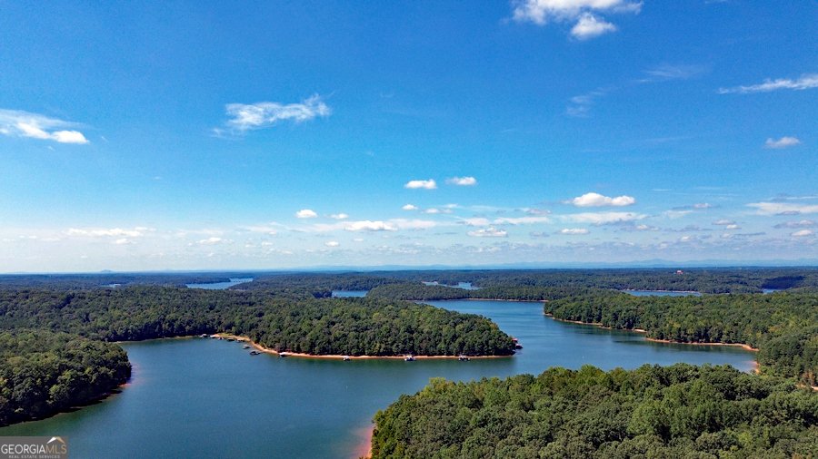 1045 Paynes Creek Road Hartwell - 4