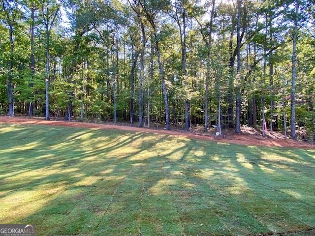 LOT 196 NORTHSHORE AT REDWINE Drive Newnan - 26