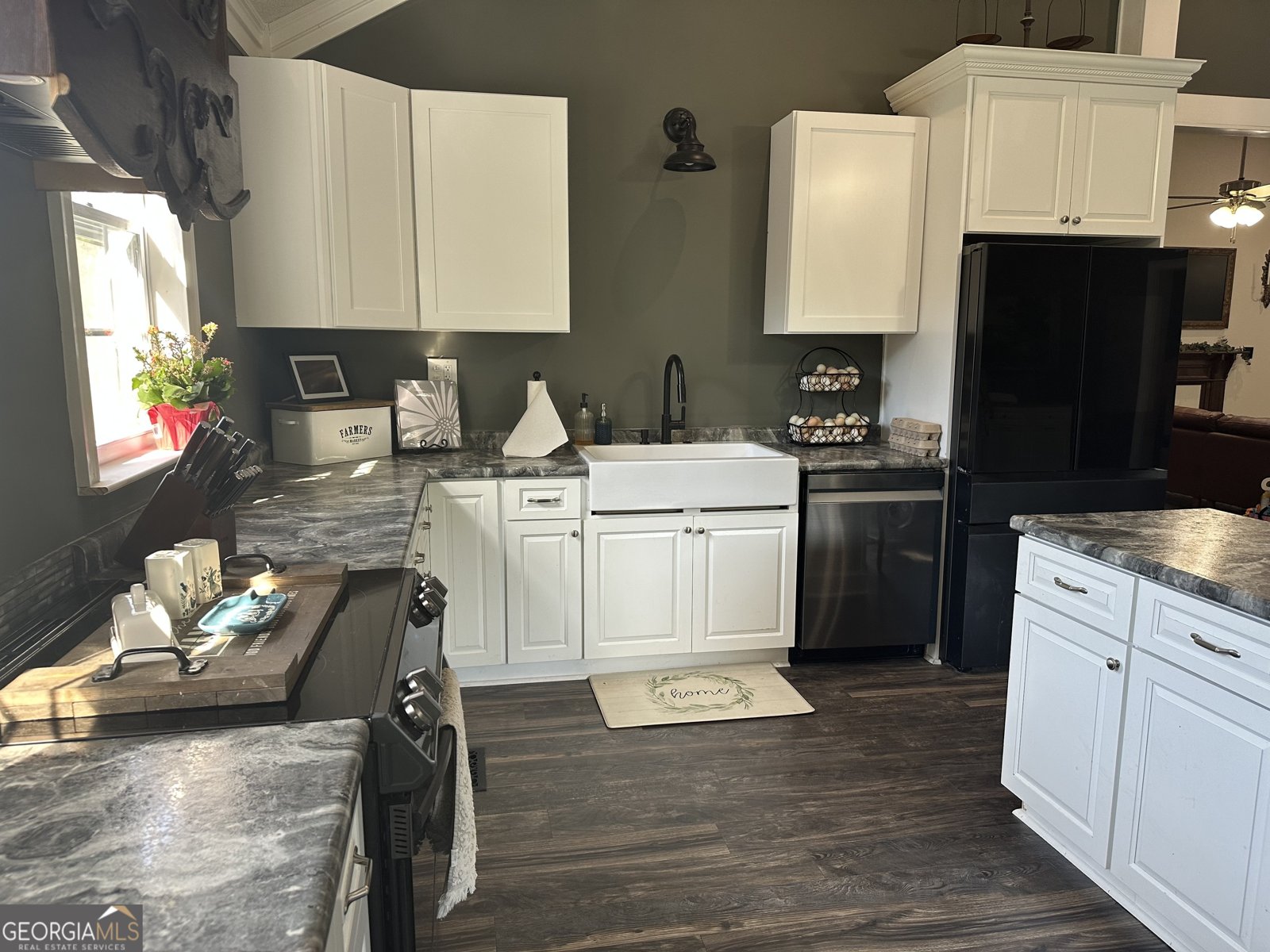 745 Ga Highway 338 Dudley - 31