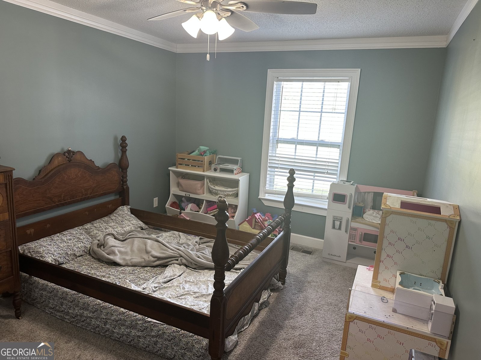 745 Ga Highway 338 Dudley - 33