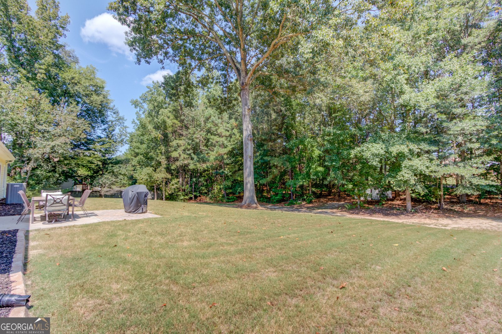 88 Hickory Bluff Braselton - 23