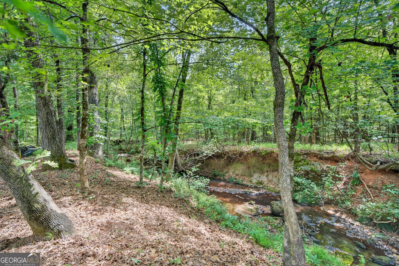 169 Maynard Road Gray - 81