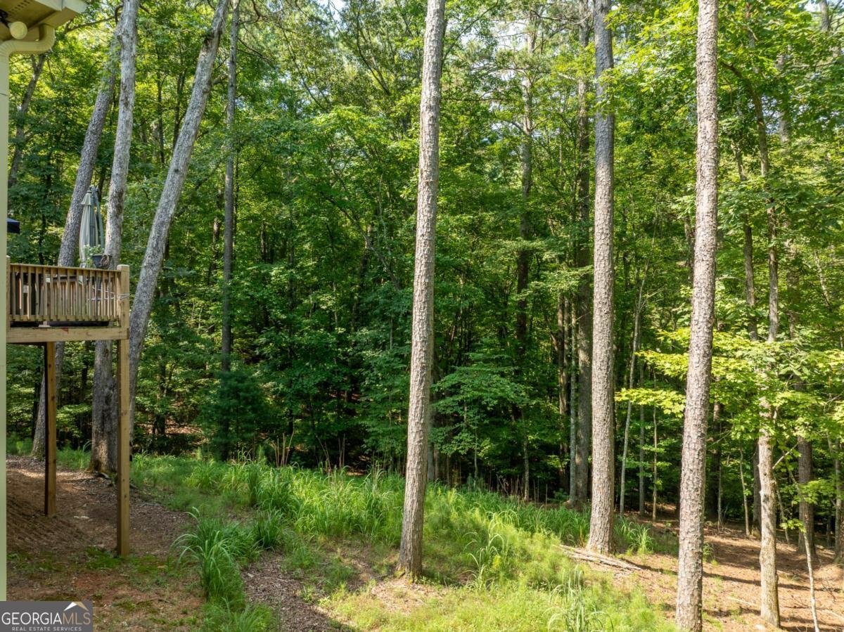 8 Gibe Court Ellijay - 34