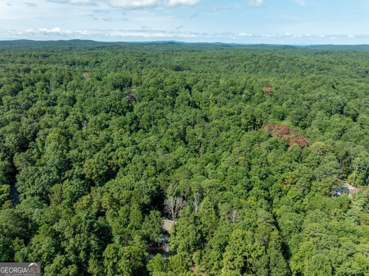 8 Gibe Court Ellijay - 36