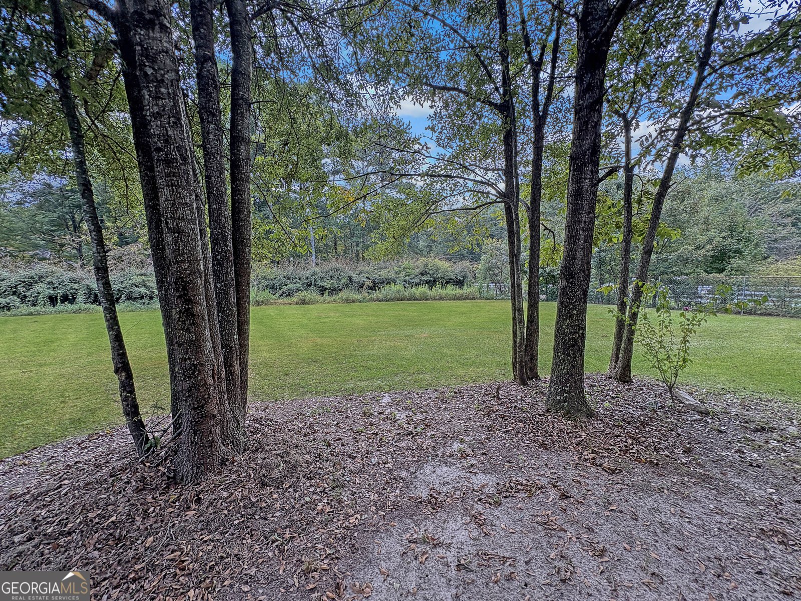274 Bowden Road Ellenwood - 6