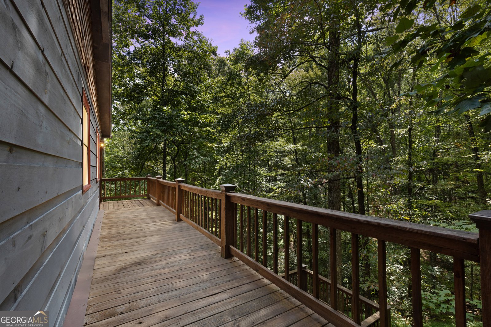 224 Dragon Tree Lane Lakemont - 28