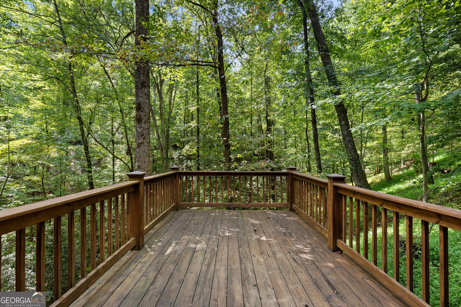 224 Dragon Tree Lane Lakemont - 29