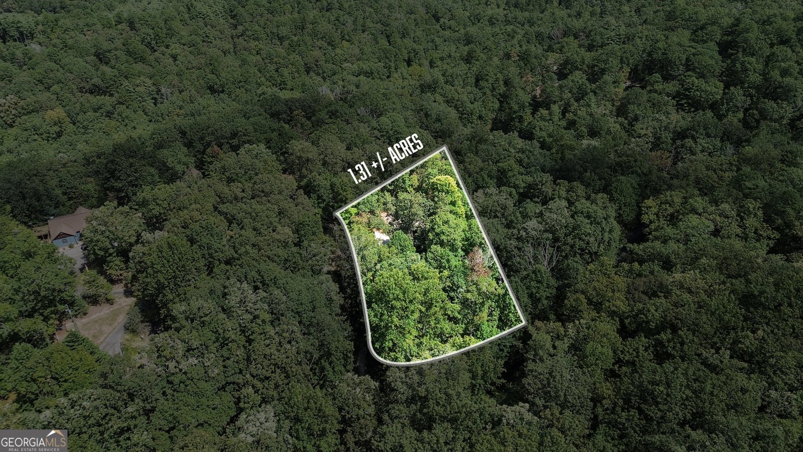 224 Dragon Tree Lane Lakemont - 36