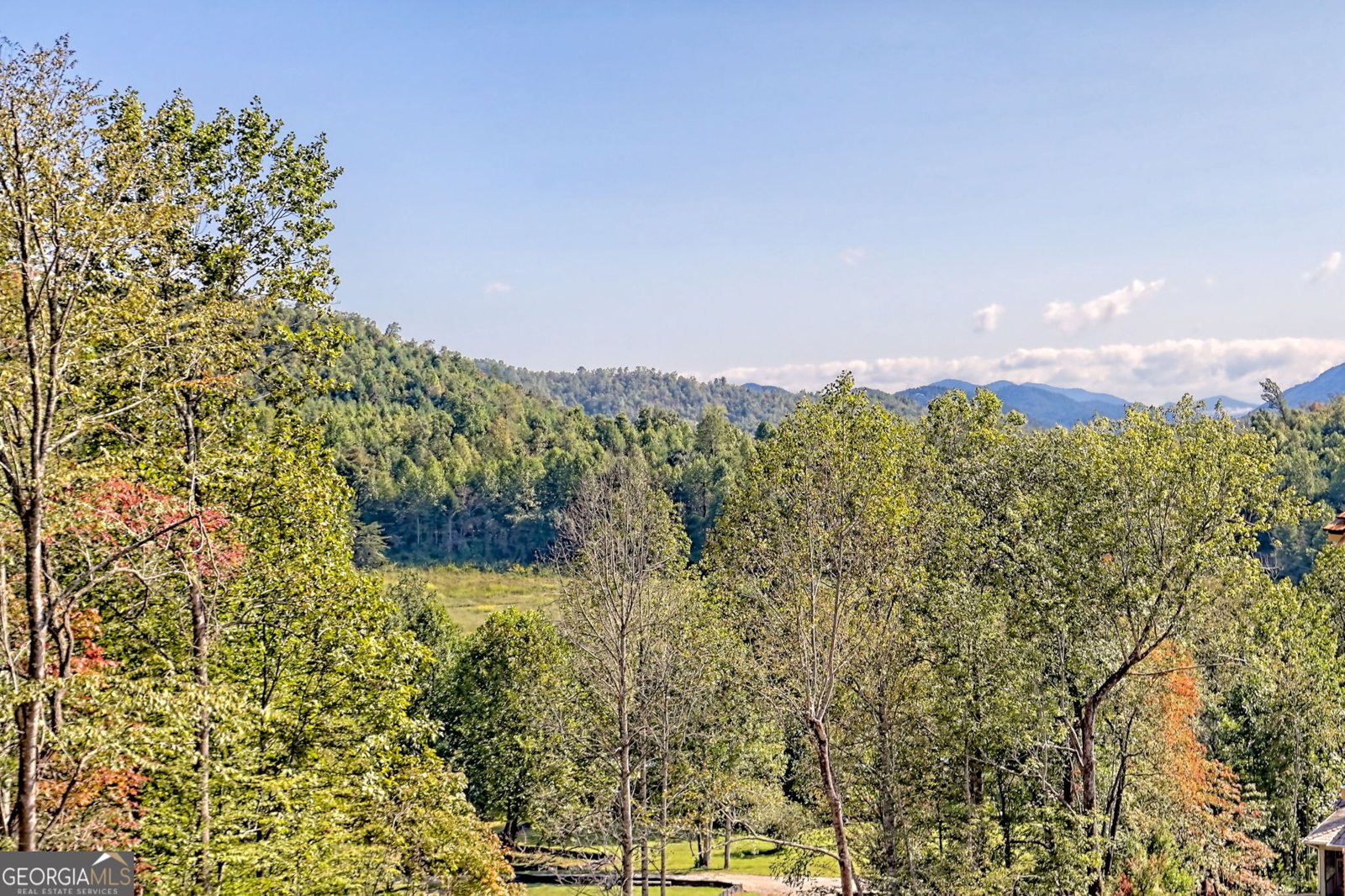 100 Cove View Lane Clarkesville - 30