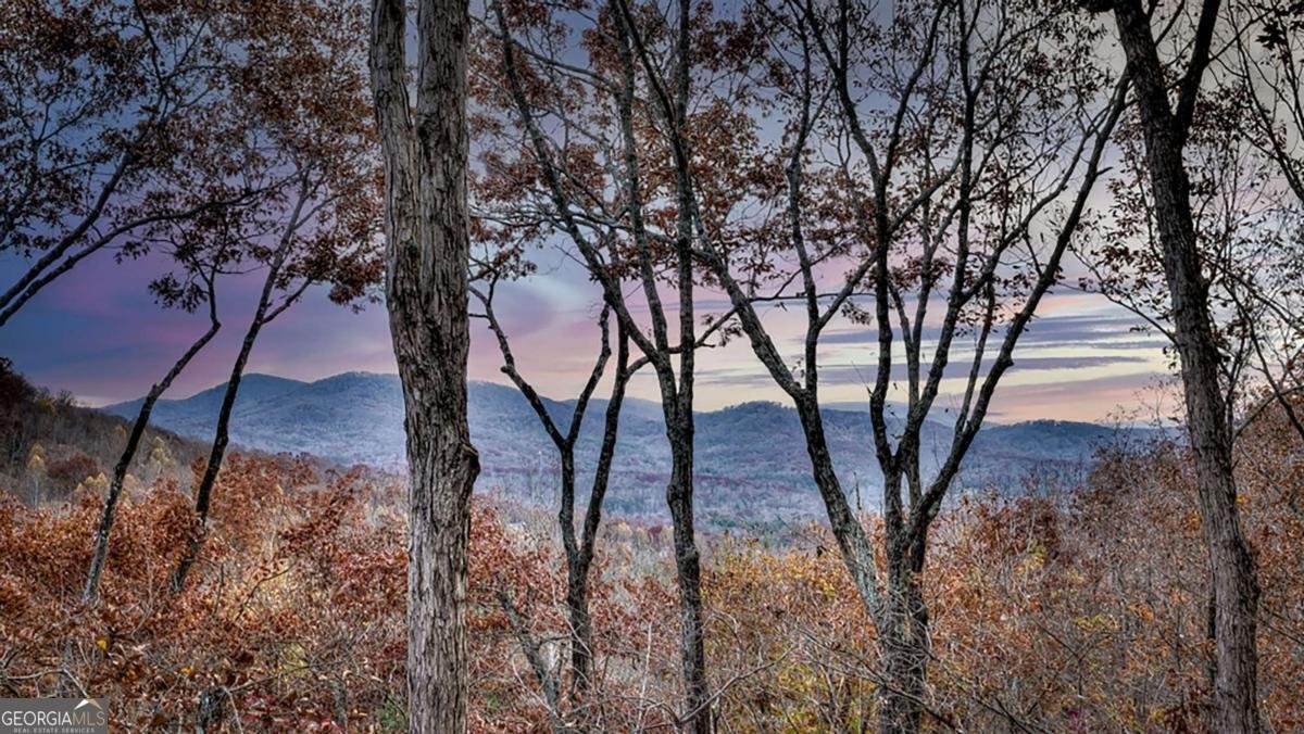 36 Stardust Lane Morganton - 1
