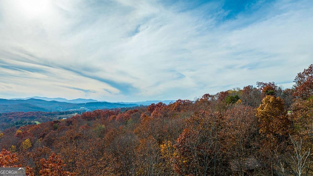 36 Stardust Lane Morganton - 32