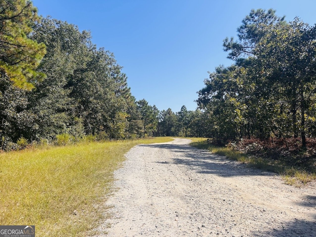 6842 GA Highway 240 Box Springs - 2