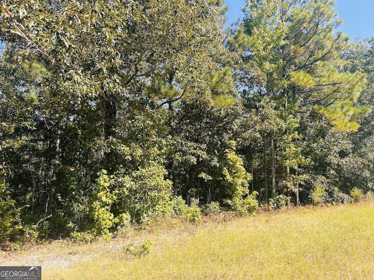 6842 GA Highway 240 Box Springs - 20