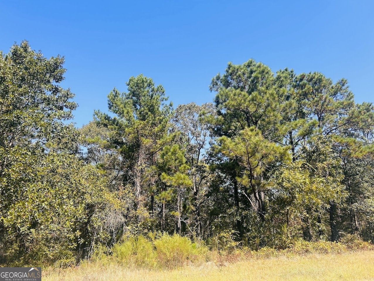 6842 GA Highway 240 Box Springs - 22