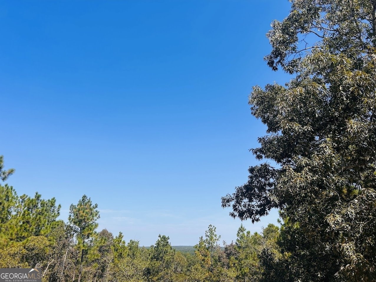 6842 GA Highway 240 Box Springs - 31