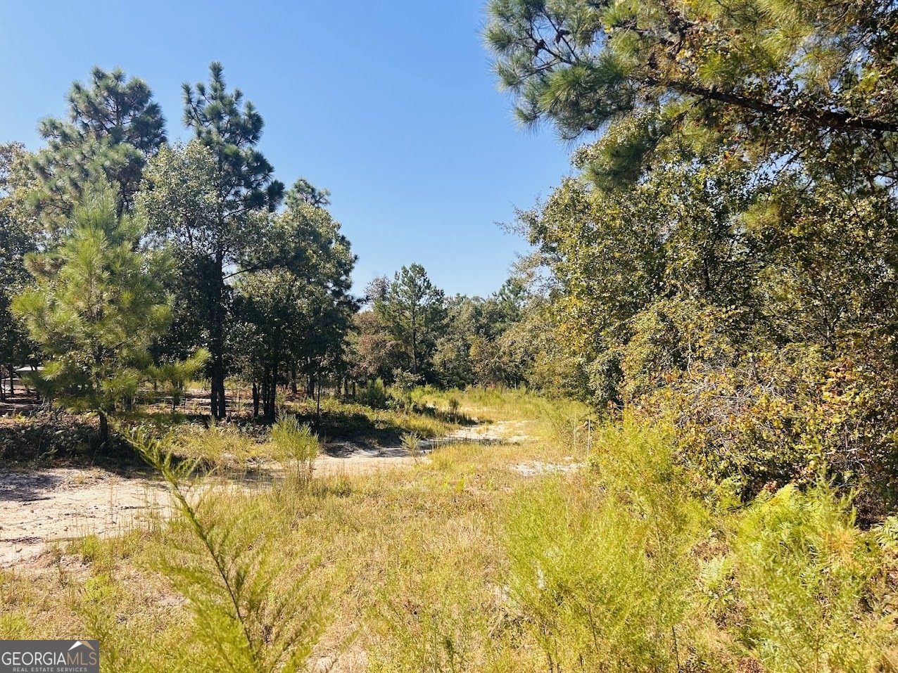 6842 GA Highway 240 Box Springs - 32