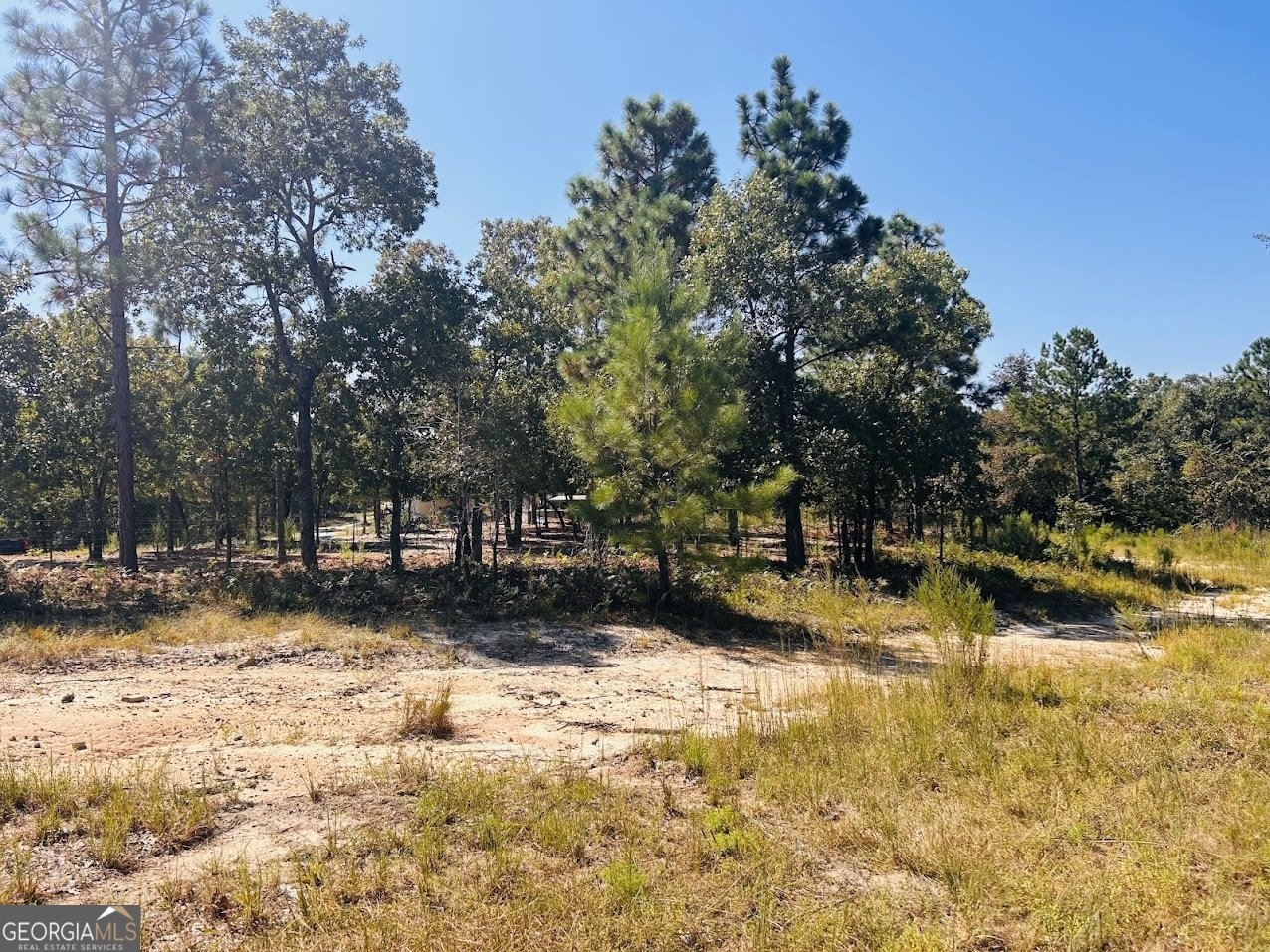 6842 GA Highway 240 Box Springs - 33