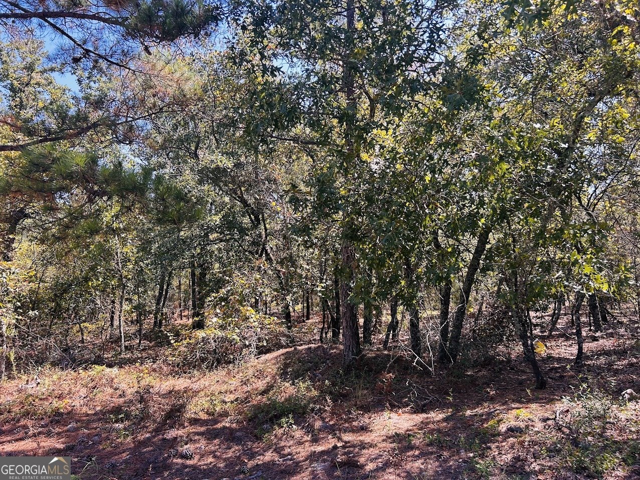 6842 GA Highway 240 Box Springs - 36