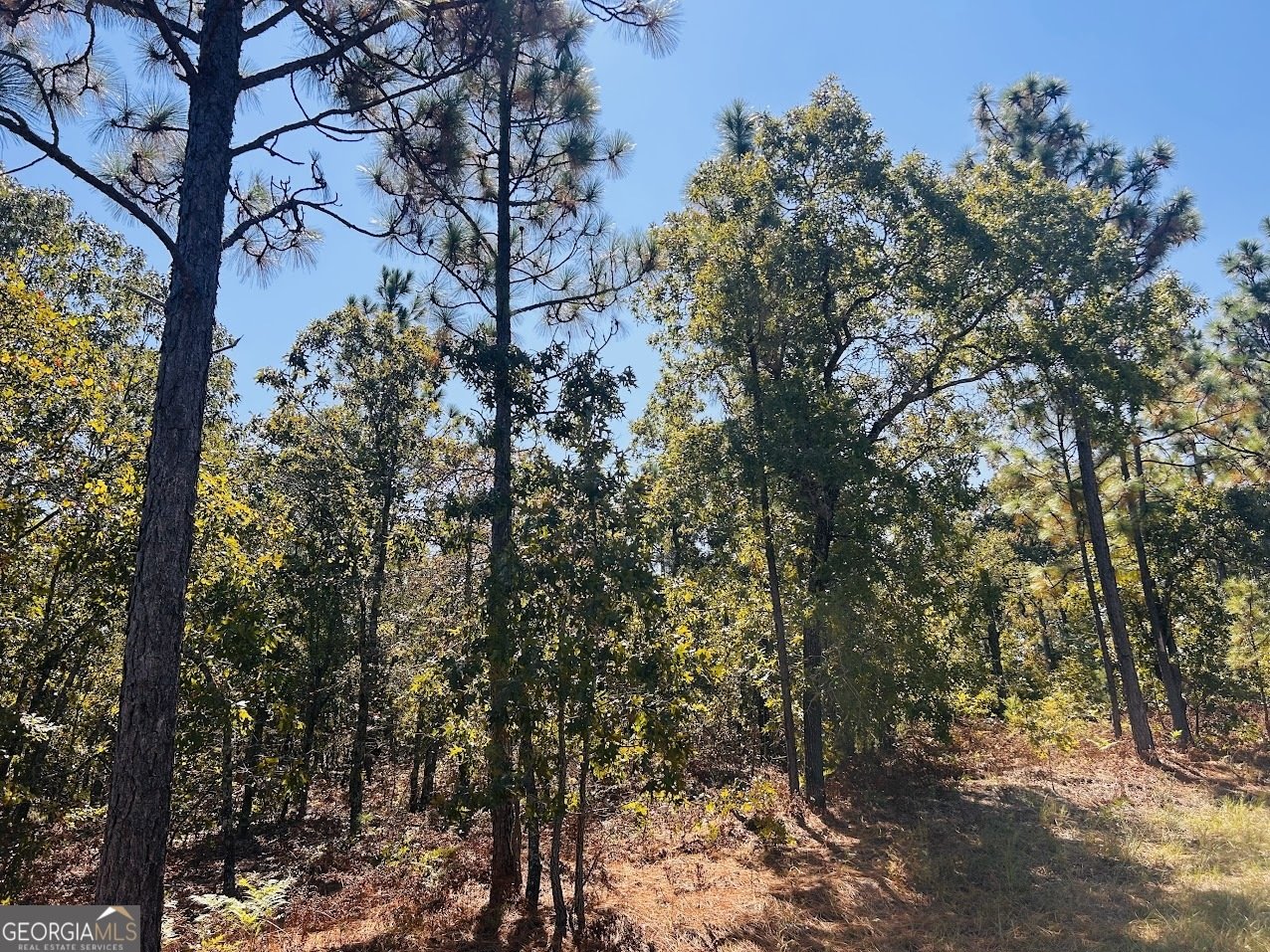 6842 GA Highway 240 Box Springs - 37