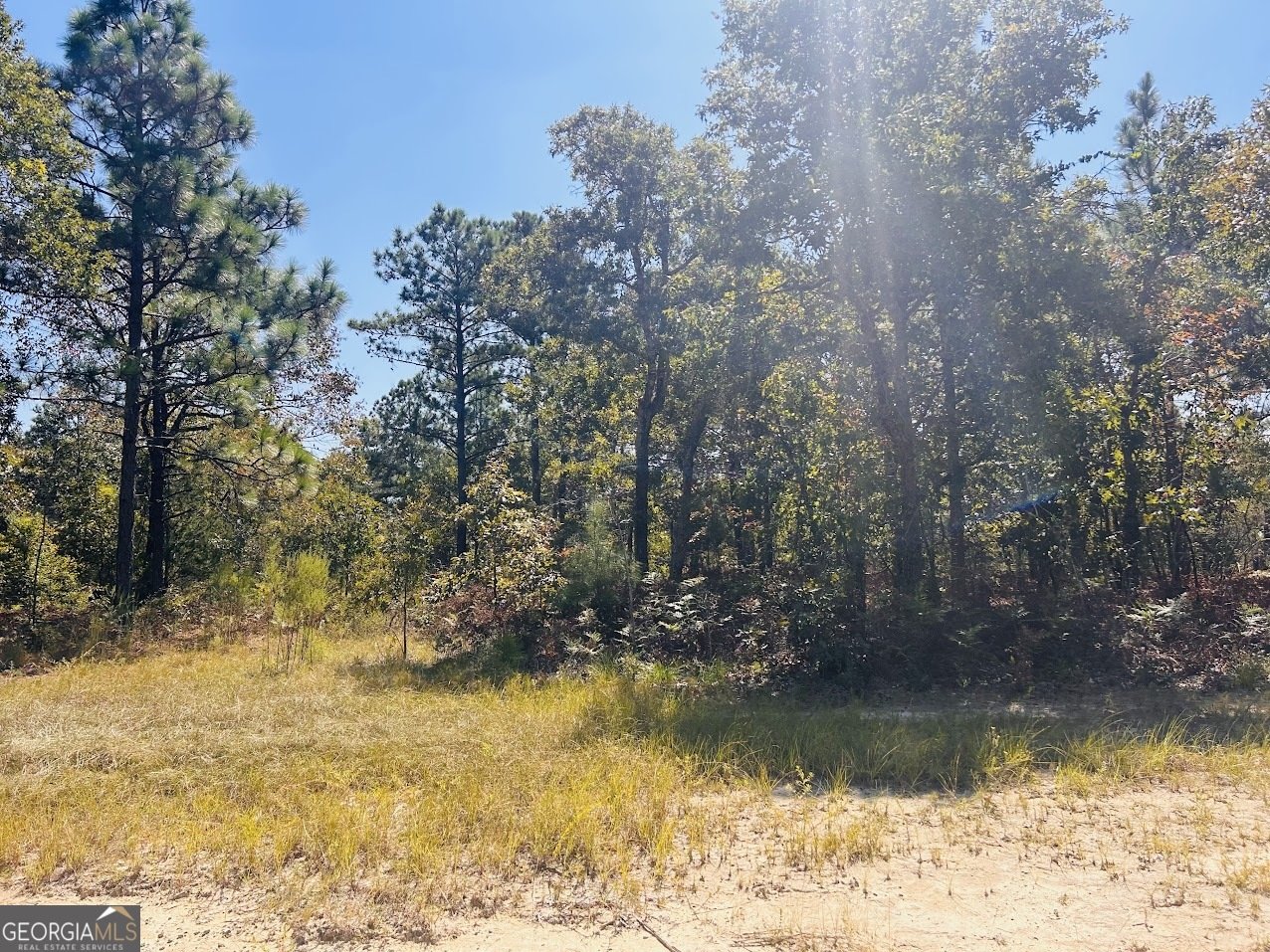 6842 GA Highway 240 Box Springs - 38