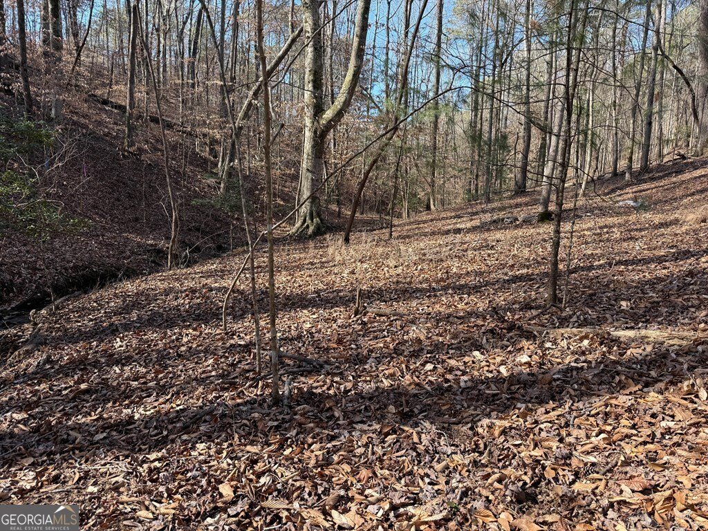 297 Oneida Circle Ellijay - 26