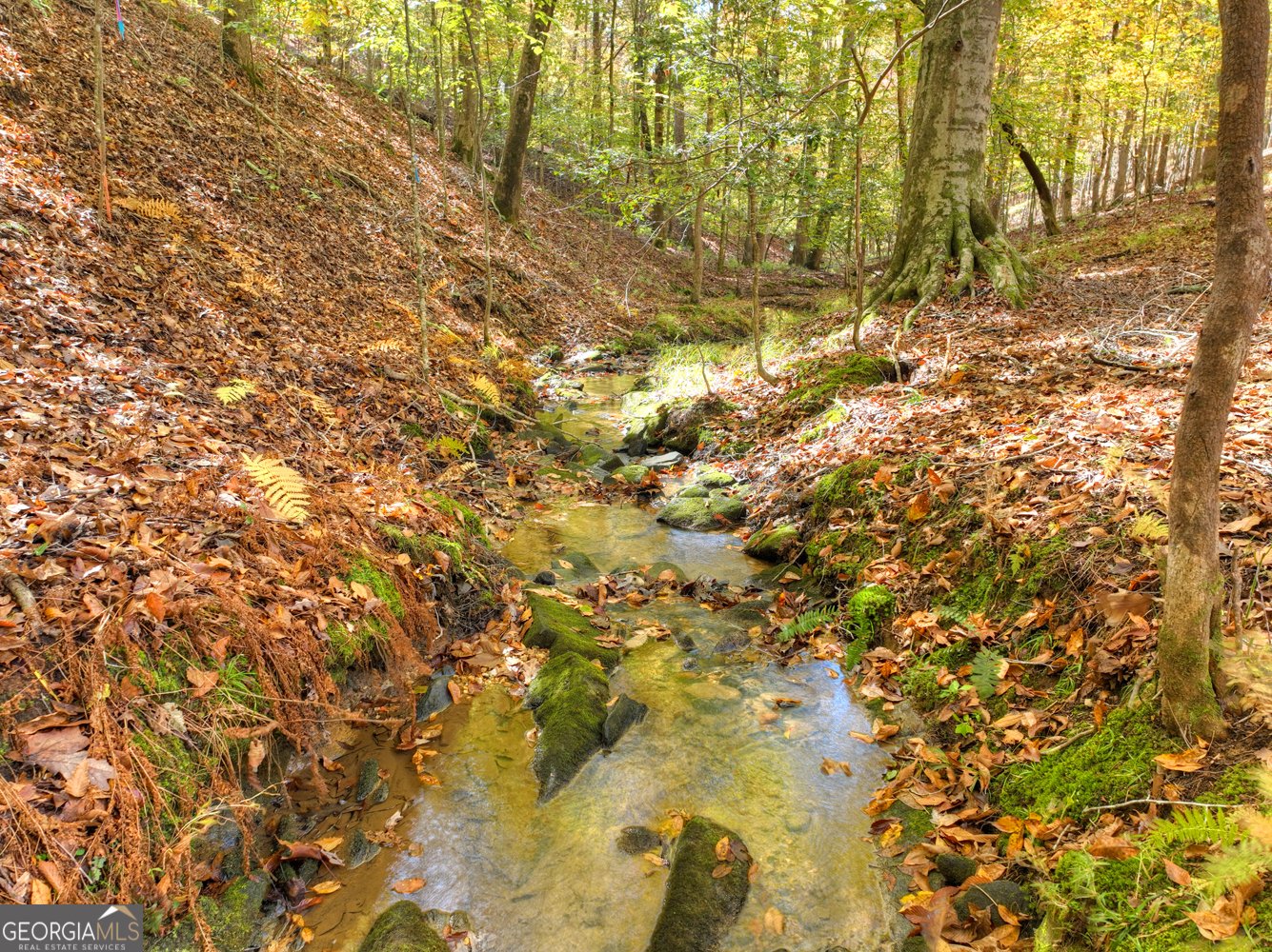 297 Oneida Circle Ellijay - 38