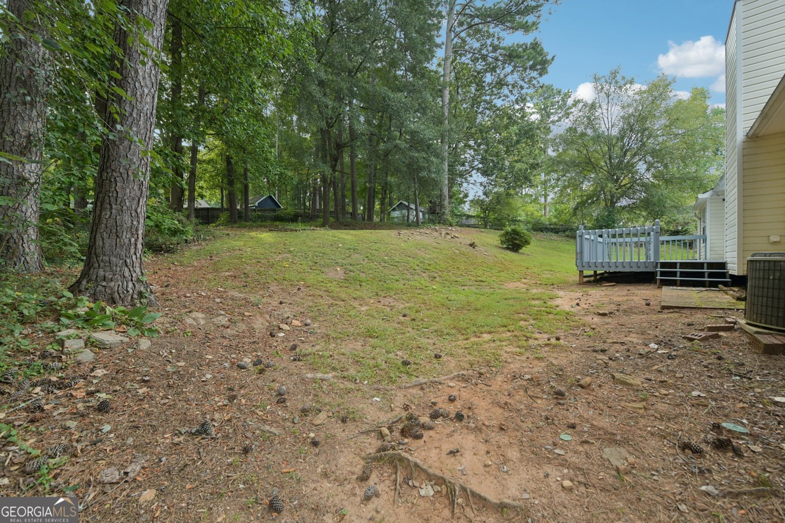 1025 Quail Drive Stockbridge - 25
