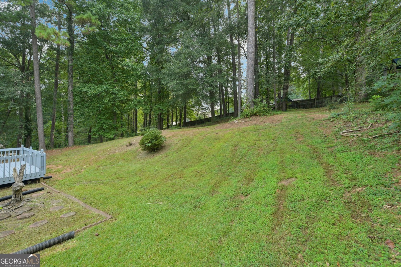 1025 Quail Drive Stockbridge - 27