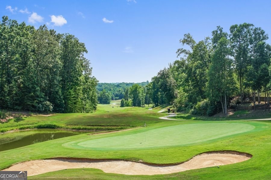 95 Ridgetop Court Dawsonville - 10
