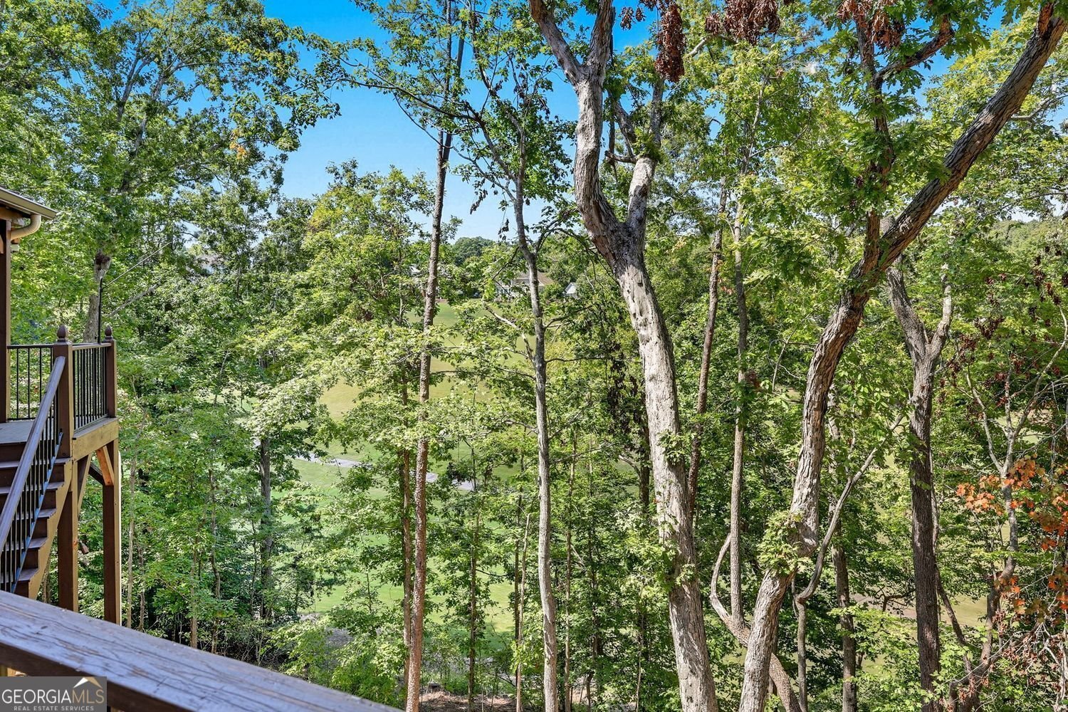 95 Ridgetop Court Dawsonville - 66
