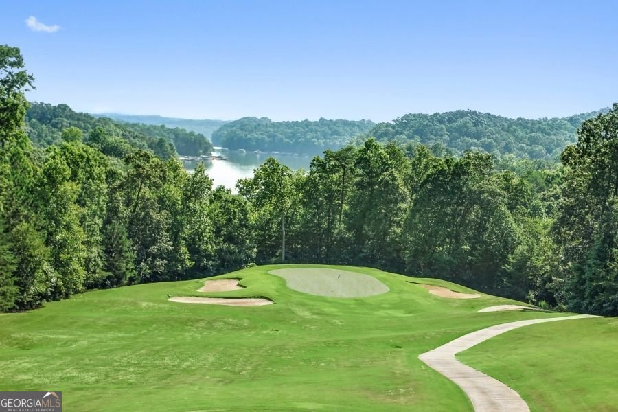 95 Ridgetop Court Dawsonville - 9