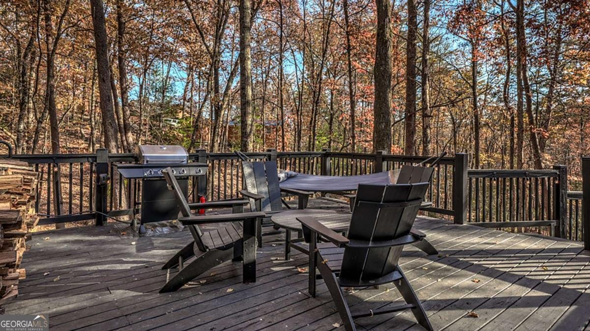 226 Lakeside Drive Blue Ridge - 19