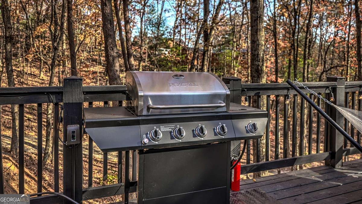 226 Lakeside Drive Blue Ridge - 20