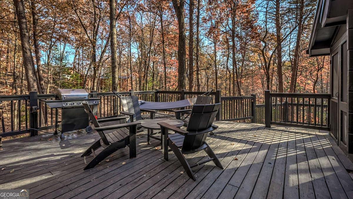 226 Lakeside Drive Blue Ridge - 21