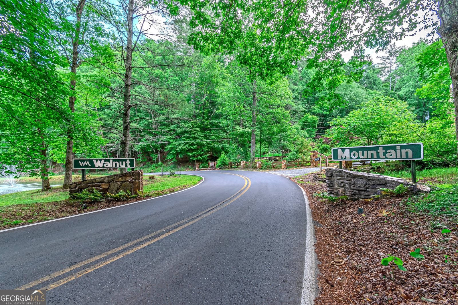 341 Valley View Road Ellijay - 21
