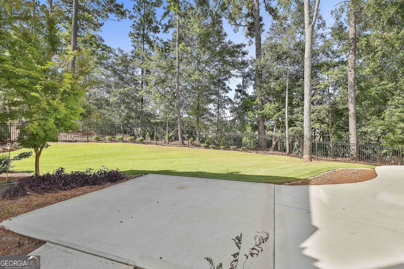 35 MILLWALK Drive Senoia - 6