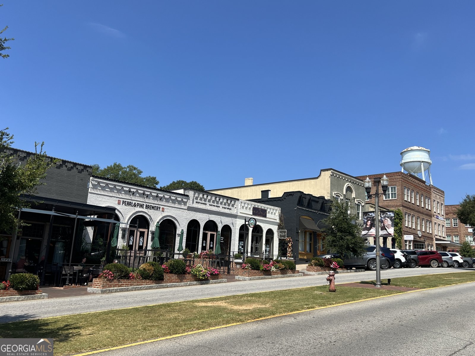 35 MILLWALK Drive Senoia - 67