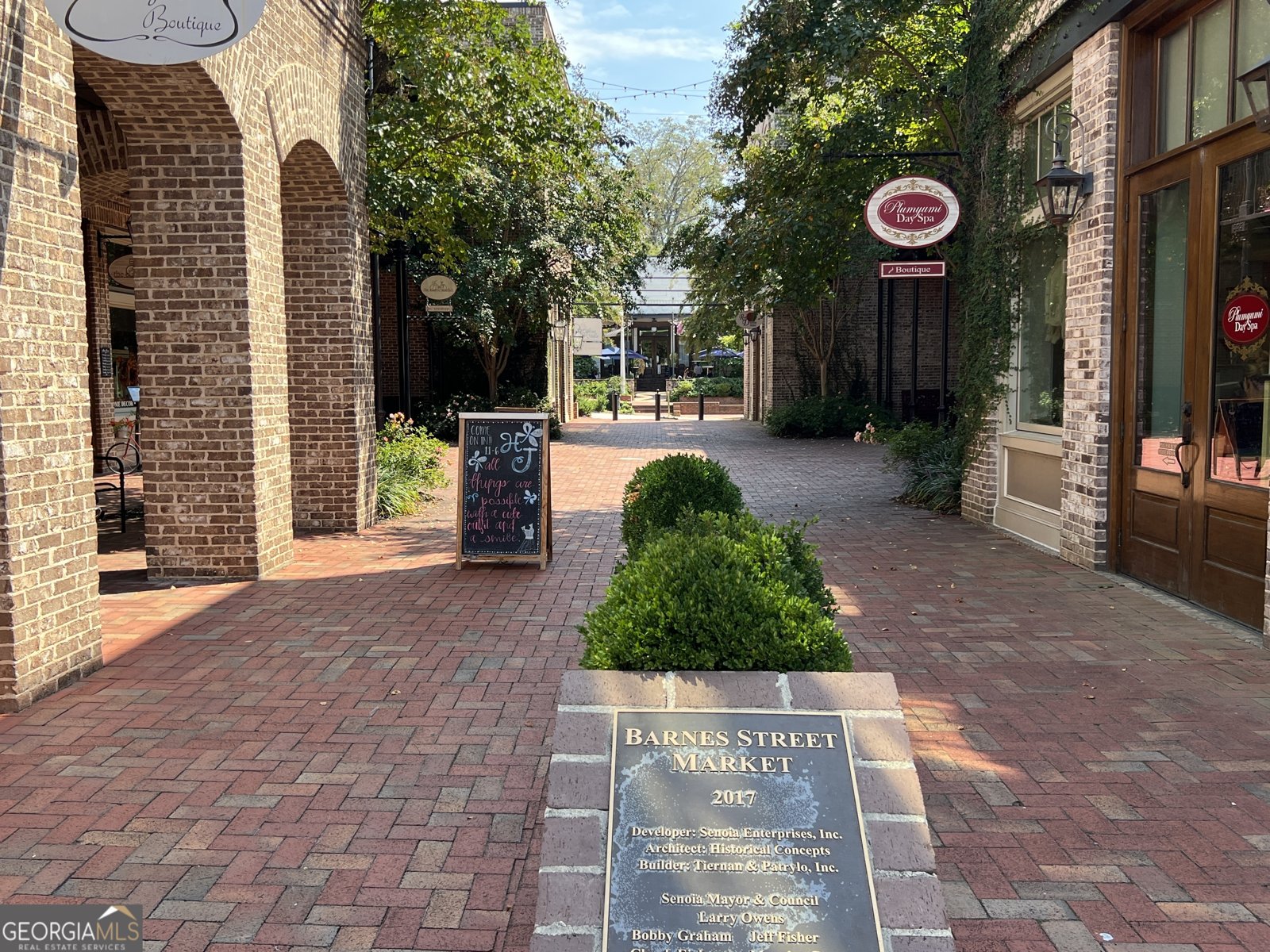 35 MILLWALK Drive Senoia - 68