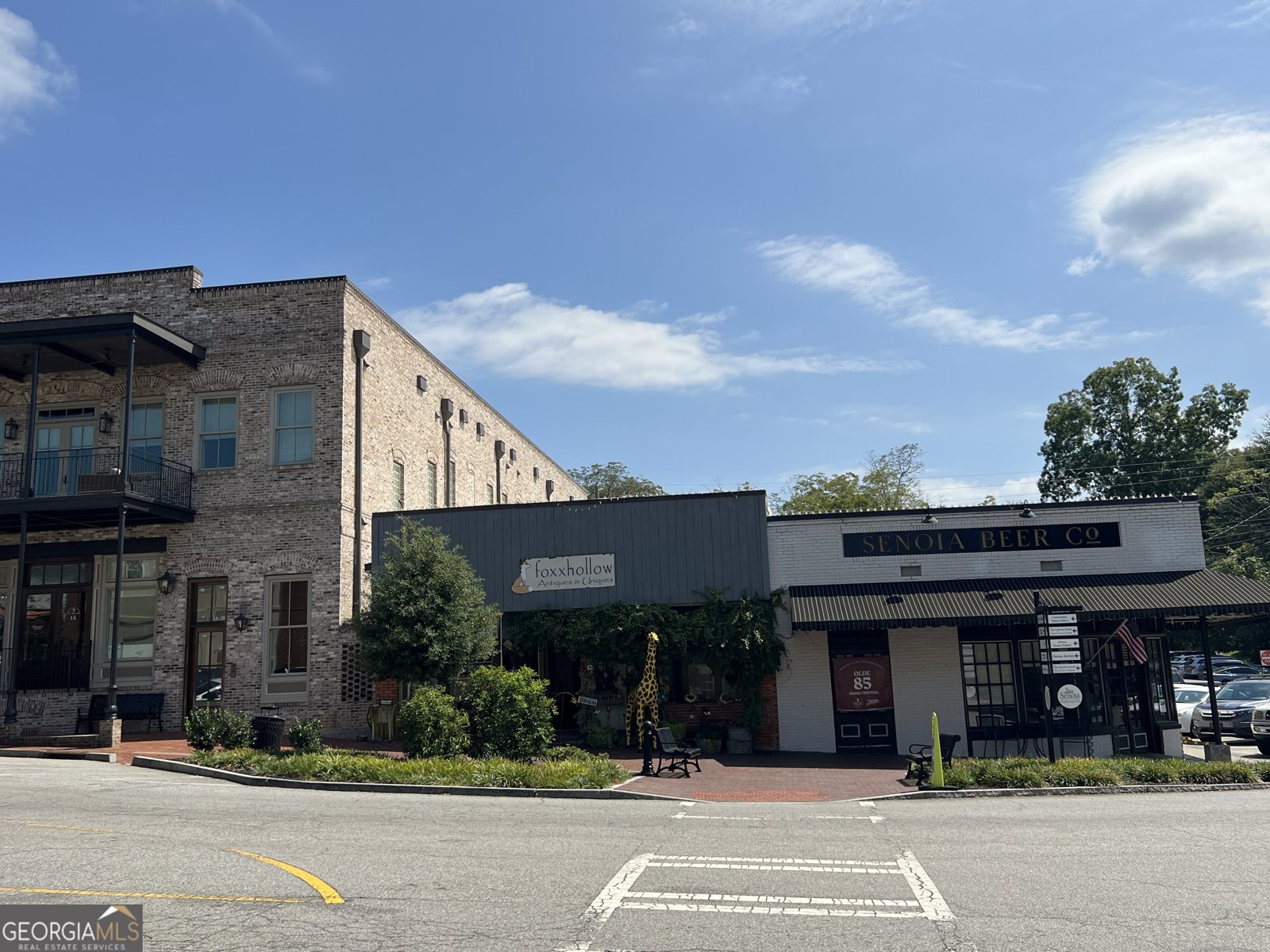 35 MILLWALK Drive Senoia - 69