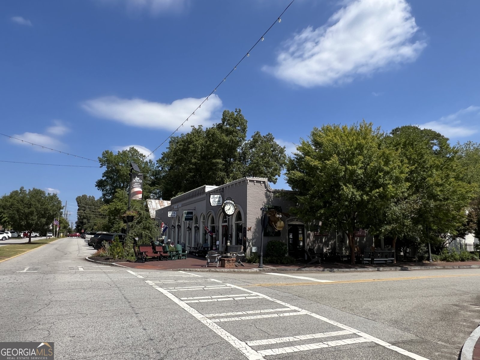 35 MILLWALK Drive Senoia - 71