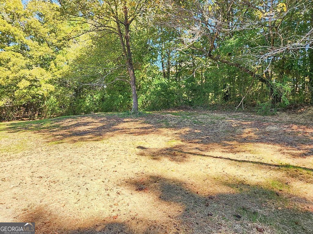 797 Gabbettville Road Lagrange - 16