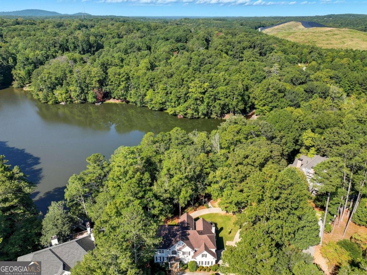 13540 Providence Lake Drive Alpharetta - 47