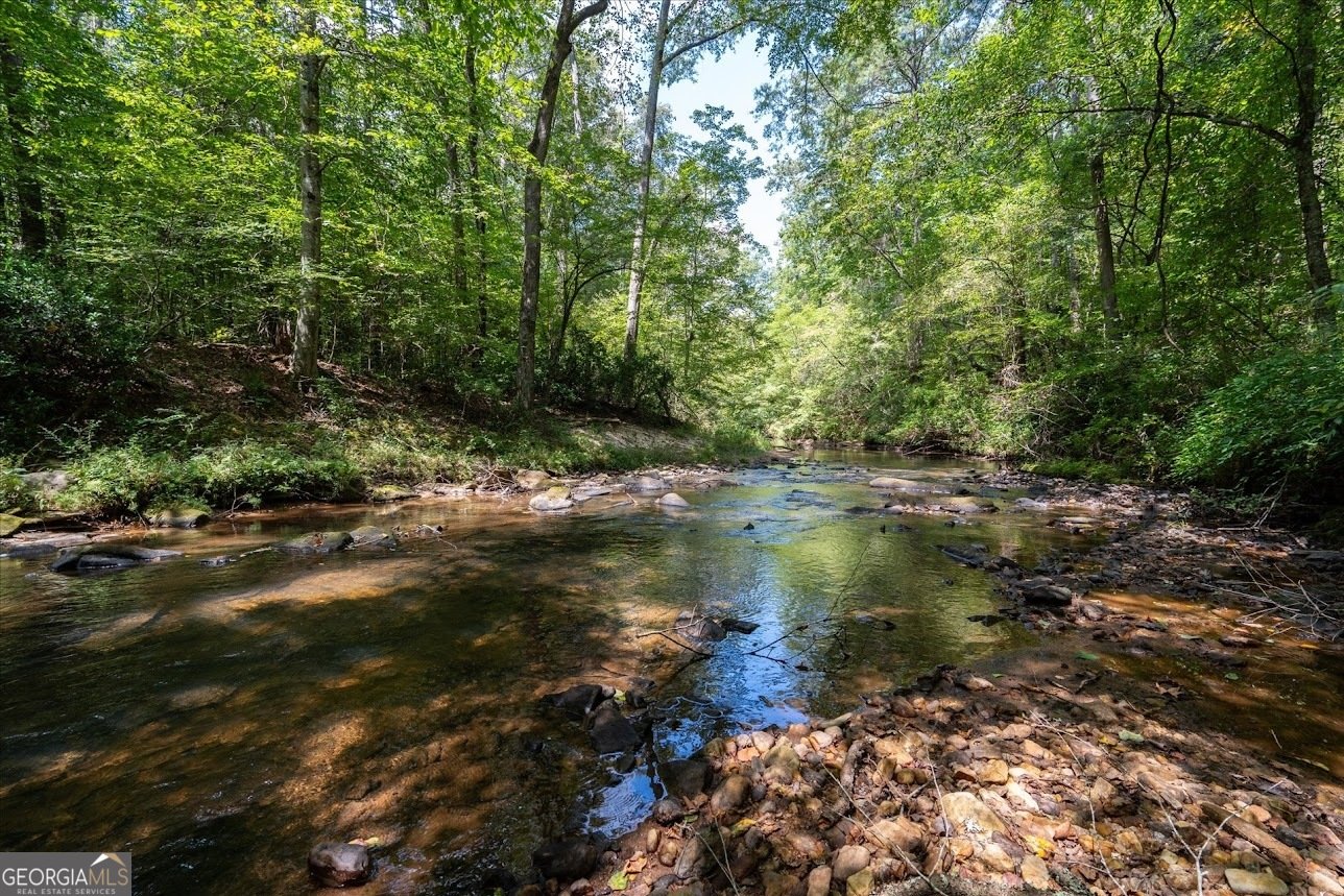2237 Clem Lowell Road Carrollton - 54