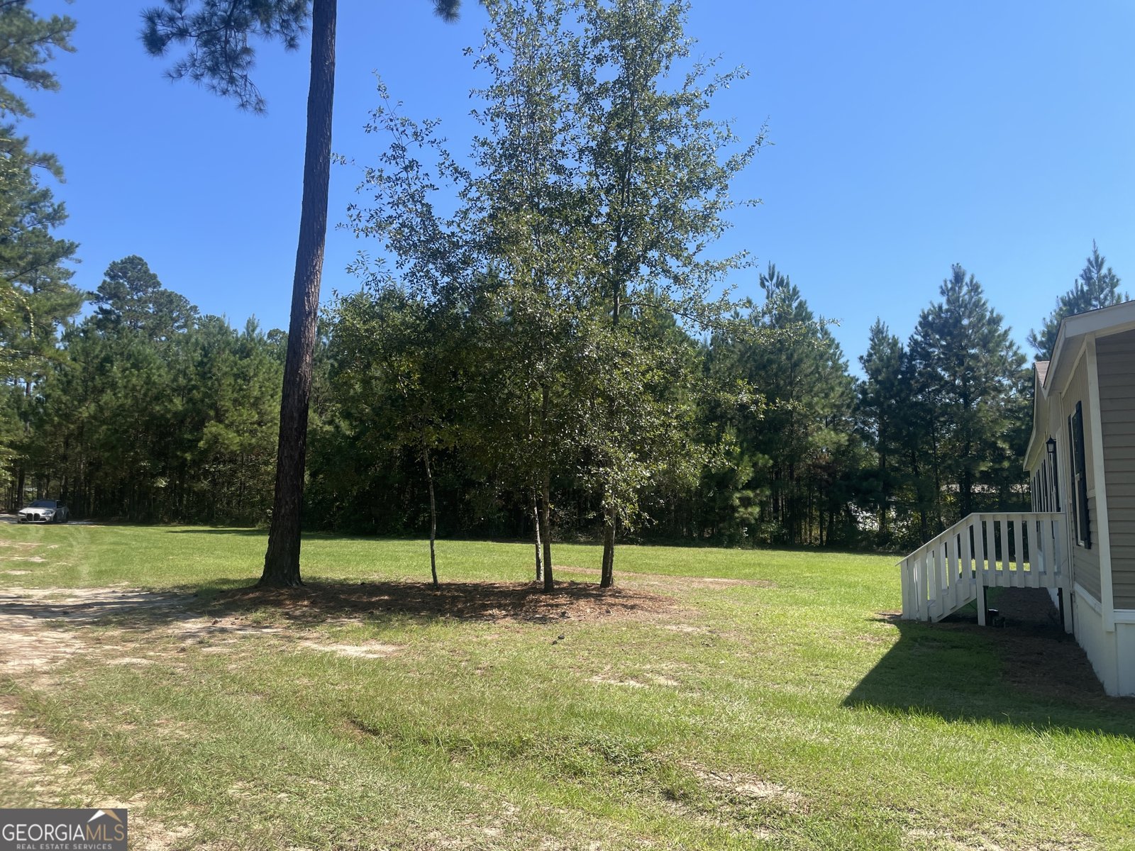 407 Blackberry Court Statesboro - 27