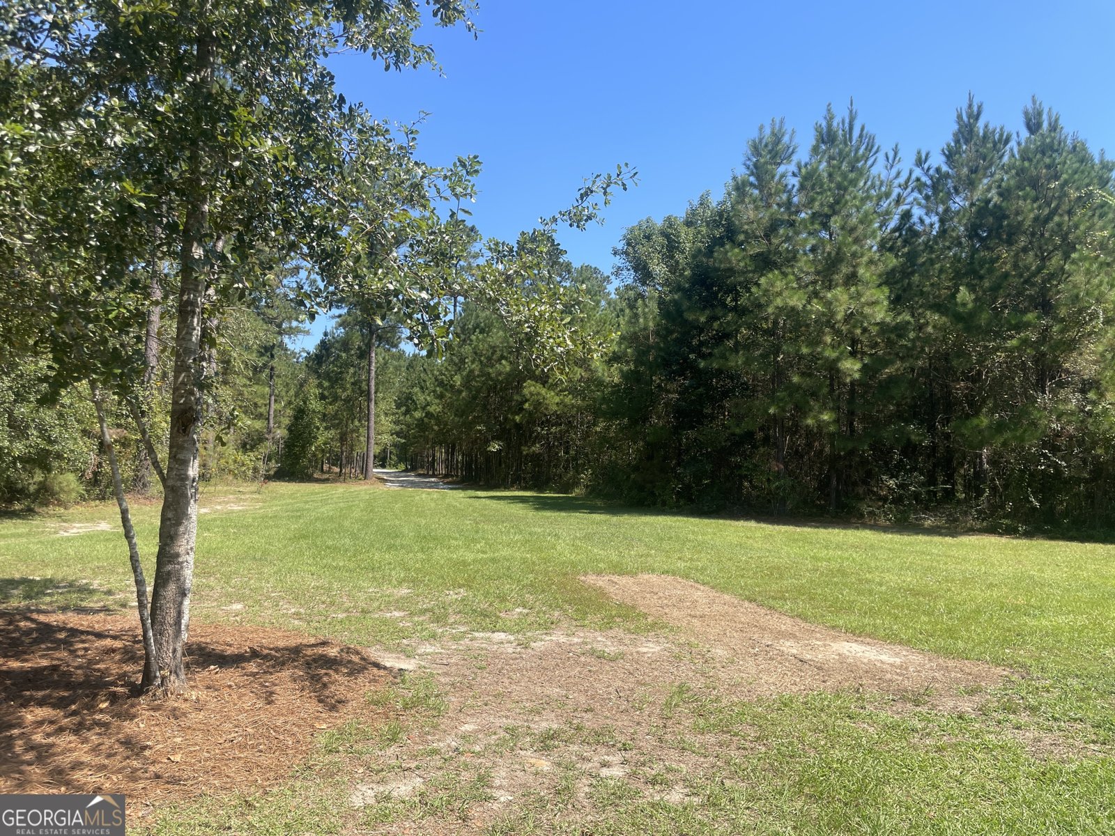407 Blackberry Court Statesboro - 28