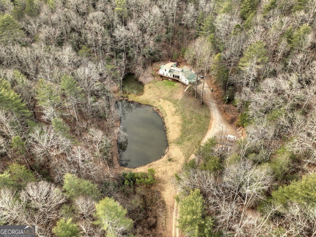547 Canaan Road Ellijay - 41