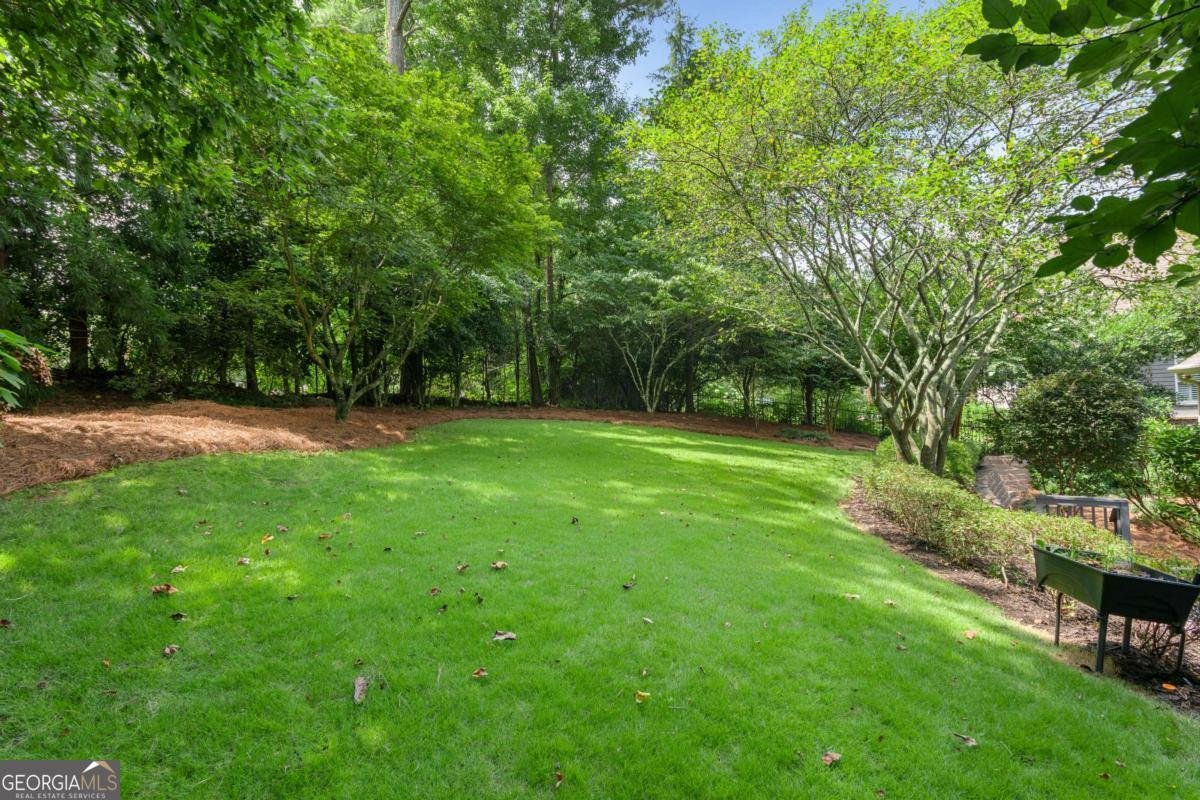 3314 Chimney Lane Roswell - 67