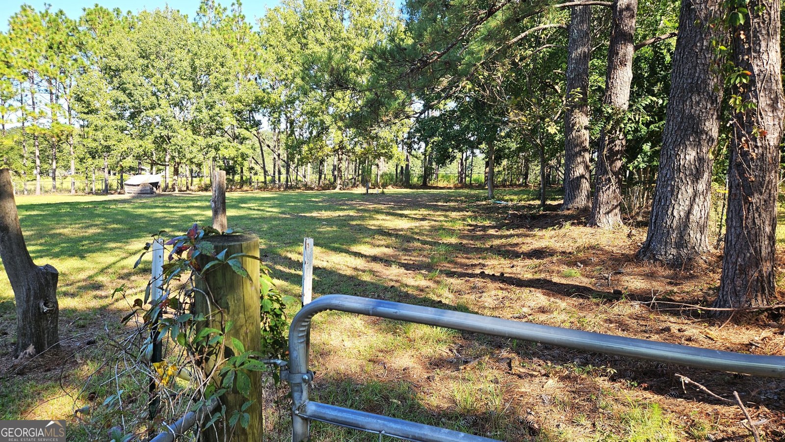 338 Jerry Hall Road Statesboro - 33