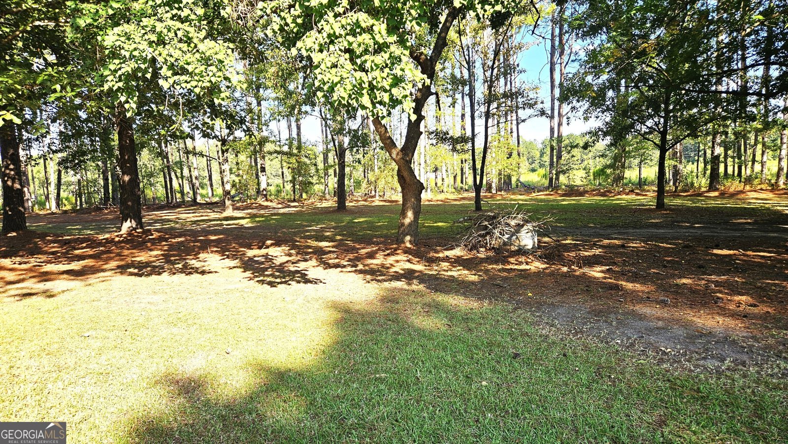 338 Jerry Hall Road Statesboro - 34