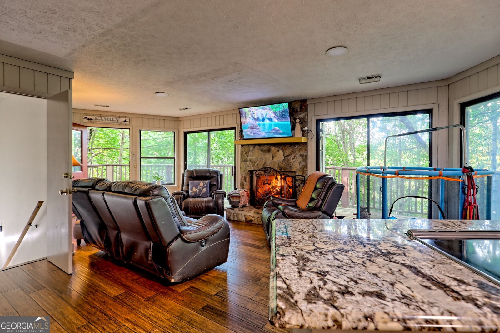 480 Sky High Drive Dillard - 11